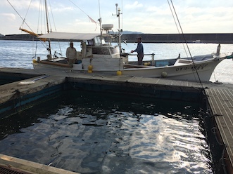 大分県 大分県漁協 水産振興祭 佐賀関支店 マリンバンクマガジン